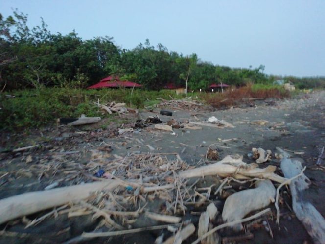 					Kondisi Pantai Lamangkia Desa Topejawa, Kecamatan Mangarabombang,   Kabupaten Takalar yang sudah tak lagi terurus.