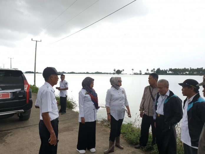 Kepala Dinas Pertanian, Tanaman Pangan, dan Hortikultura Sulsel, Fitriani tinjau lokasi banjir.