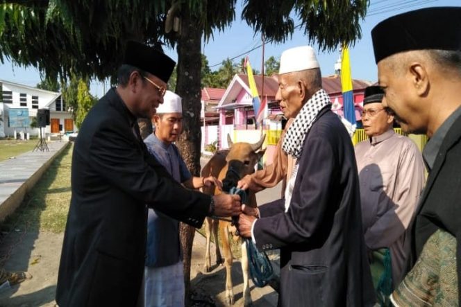 					Bupati Luwu:  Menyembelih Hewan Qurban Sebagai Simbol Menyembelih Sifat Kebinatangan