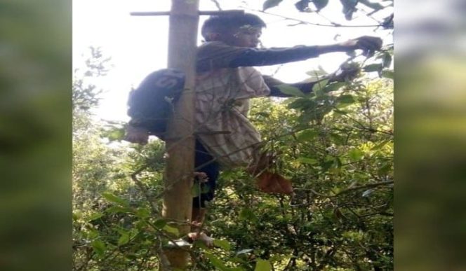 					Foto (facebook) Aldi Bocah SD Sedang Memetik Cengkeh. (BERITA.NEWS/Muhammad Ilham). 