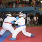 Atlet Karate kelas usia dini. (BERITA.NEWS/ACP).