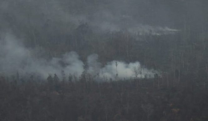 					Fadli Zon Menyebut Pemerintah tidak Peka soal Karhutla