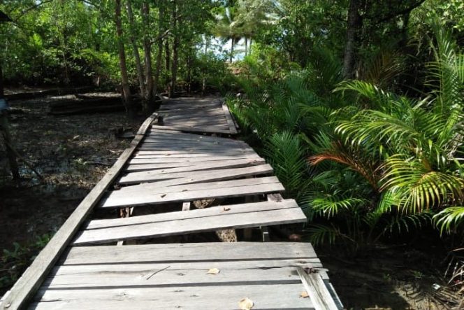 					Keberadaan jembatan Pantai Indah Jalan Dewa Ruci di Pulau Bunyu Kabupaten Bulungan Provinsi Kalimantan Utara sudah memprihatinkan. (BERITA.NEWS/Andi Wakka Riansyah)
