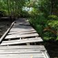 Keberadaan jembatan Pantai Indah Jalan Dewa Ruci di Pulau Bunyu Kabupaten Bulungan Provinsi Kalimantan Utara sudah memprihatinkan. (BERITA.NEWS/Andi Wakka Riansyah)