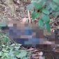 Foto jasad kakek saat ditemukan.(BERITA.NEWS/Putri).