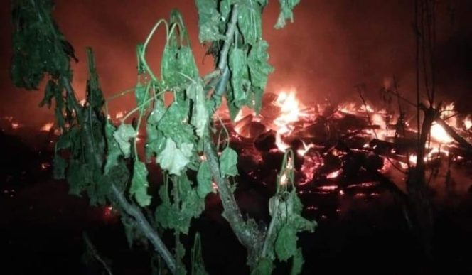 					Situasi kebakaran di Desa Lumpangan. (BERITA.NEWS/Saharuddin). 