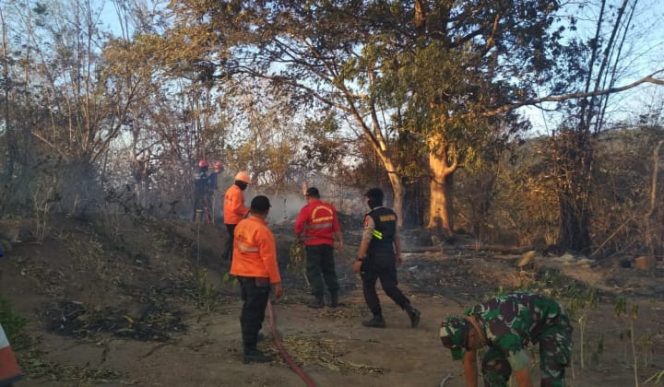 					Kebakaran Hutan di Kaki Gunung Lompo Battang Diperkirakan dari Dua Kecamatan