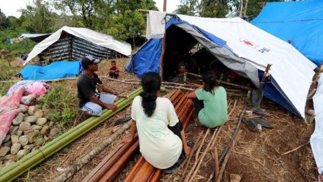					Pengungsi gempa di Ambon (Foto: dok. Antara Foto)