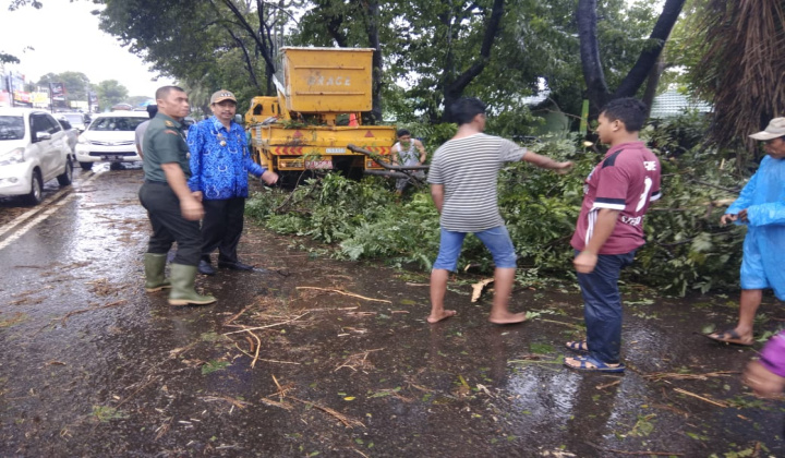 Dinas Lingkungan Hidup Kabupaten Gowa saat melakukan pemangkasan ranting pohon di sejumlah titik. (BERITA.NEWS/Putri).