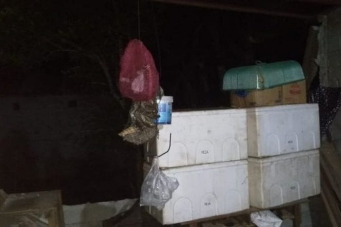 					Belasan rumah warga di Pulau Batang Dua Ternate, terutama di Pulau Mayau mengalami kerusakan akibat gempa berkekuatan Magnitudo 7,1 yang melanda Malut pada Jumat (15/11) dini hari (Abdul Fatah)