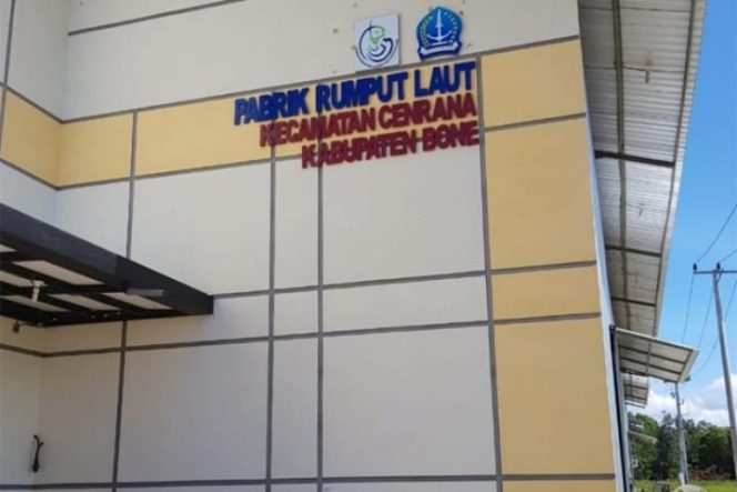 					Dugaan Korupsi Pabrik Rumput Laut Rp16,2 M, Kadis Kelautan & Perikanan Bone Terlibat?