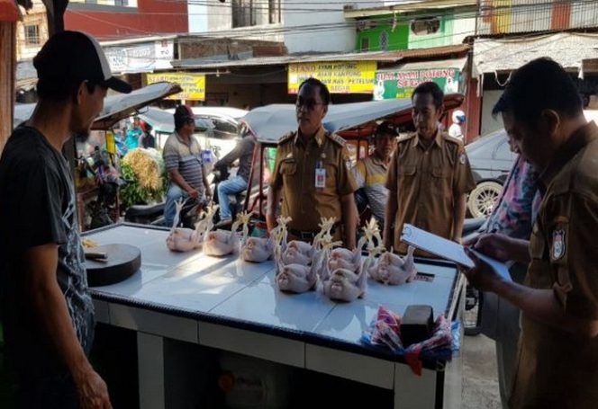 					DP2 Gelar Pemeriksaan dan Pengawasan Produk Peternakan