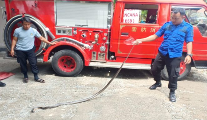 					Petugas Damkar Bantaeng menjinakkan ular kobra yang masuk kerumah warga. (BERITA.NEWS/Saharuddin). 