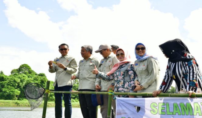 					Panen Udang Windu di Kabupaten Pinrang. (BERITA.NEWS/Andi Khaerul). 