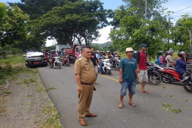 					Wabup Luwu SBj Bersihkan Pohon Tumbang di Trans Sulawesi