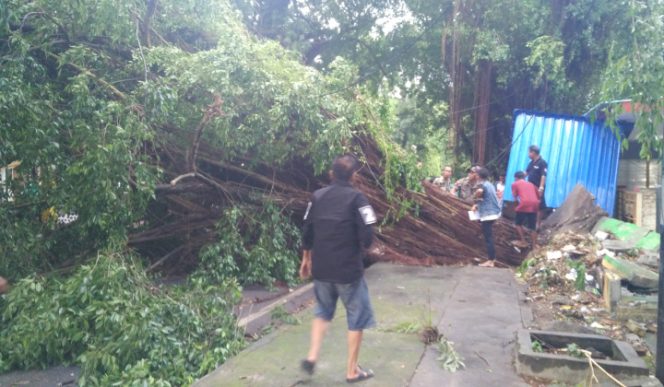 					Masyarakat mulai membersihkan pohon yang tumbang di Jalan Mattiro Tasi kota Parepare. (BERITA.NEWS/Wahyu Adi Saputra) 