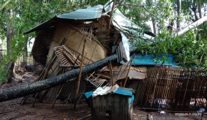 					Rumah roboh oleh pohon Tumbang di Limbungan Takalar. (BERITA.NEWS/Sahabuddin Jaya). 