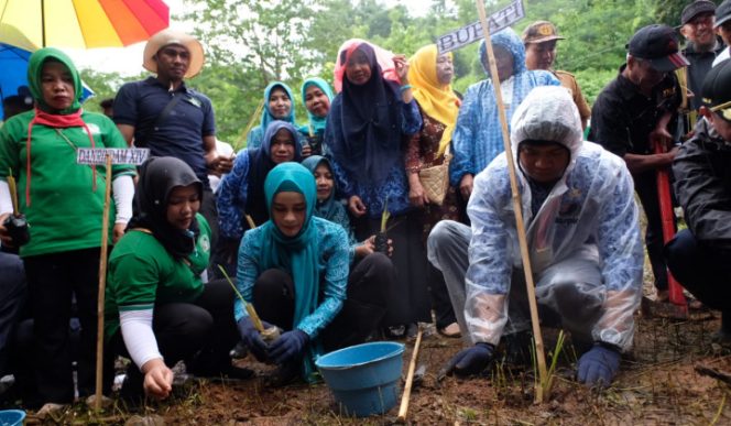 					Solusi Cegah Longsor, Gowa Kabupaten Pertama Tanam Vetiver