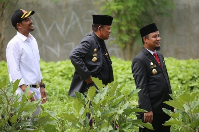 					Program Gertak PKK Luwu Siap Diadopsi Pemprov Sulsel