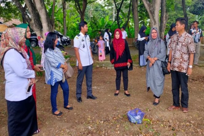					Ini yang Dilakukan Dinas Ketahanan Pangan Sulsel di Kebun Sayur Luwu