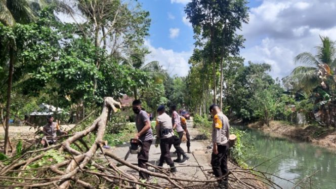 					Membahayakan Pengguna Jalan, SAR Yon C Pelopor “Sigap” Tebang 2 Pohon di Jalan Kinibalu