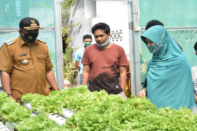 					Ketua TP PKK Kabupaten Takalar Hj Irma Adriani saat mengunjungi tanaman Hidroponik di Desa Lengkese. (Dok. Foto: Humas Pemkab Takalar). 
