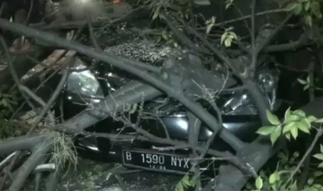 					Satu unit mobil ringsek tertimpa batang pohon tumbang di Jalan I Gusti Ngurah Rai, Duren Sawit, Jakarta Timur, Jumat (31/7/2020). Dua penumpang mobil dan satu pengendara terluka serius akibat kejadian itu. (ANTARA/Andi Firdaus).