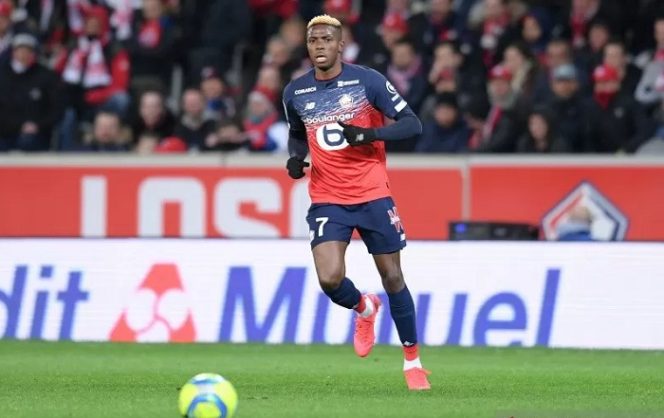 					Arsip-Victor Osimhen saat masih membela Lille. (ANTARA/Reuters/ Panoramic/Philippe LECOEUR)