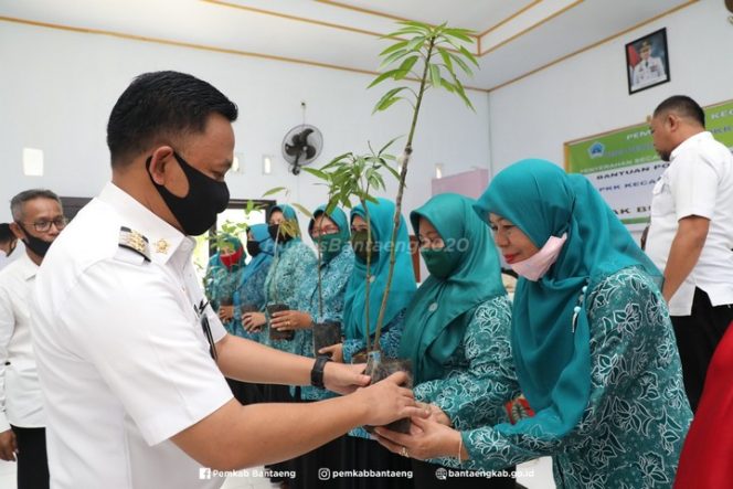 					 Bertempat di Aula Kantor Camat Pa'jukukang, Bupati Bantaeng menyerahkan bantuan bibit pohon produktif bagi Tim Penggerak Pemberdayaan Kesejahteraan Keluarga (PKK) Kecamatan Pa'jukukang, Rabu Siang.