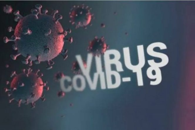 					Ilustrasi - Virus Corona (COVID-19). (Dok Antara)