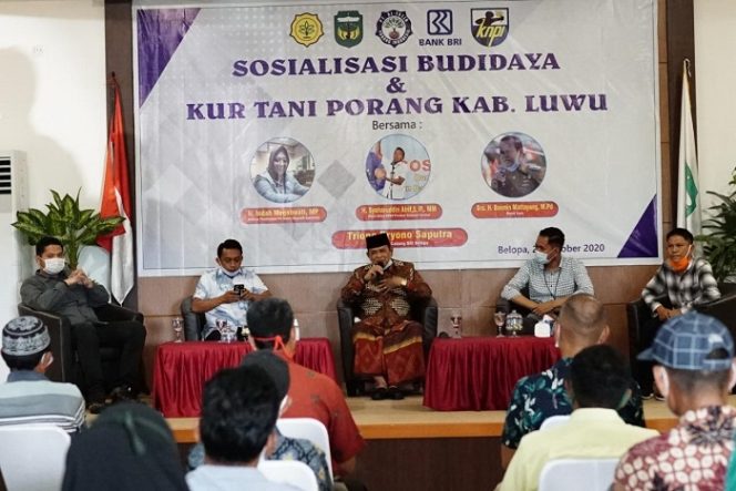 					Wakil Ketua DPRD Sulsel Motivasi Petani Luwu untuk Membudidayakan Tanaman Porang