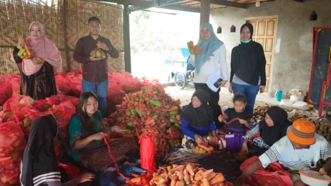 					Bantuan Pangan Sembako Jeneponto Bangkitkan Ekonomi Lokal