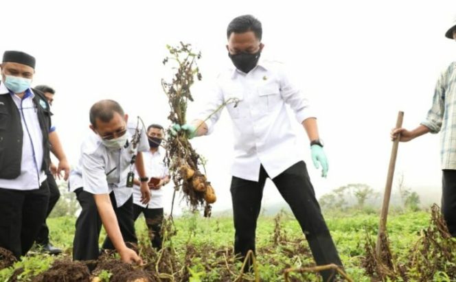 					Dilengkapi Pemandangan yang Indah, Campagaloe Bakal Jadi Wisata Buah