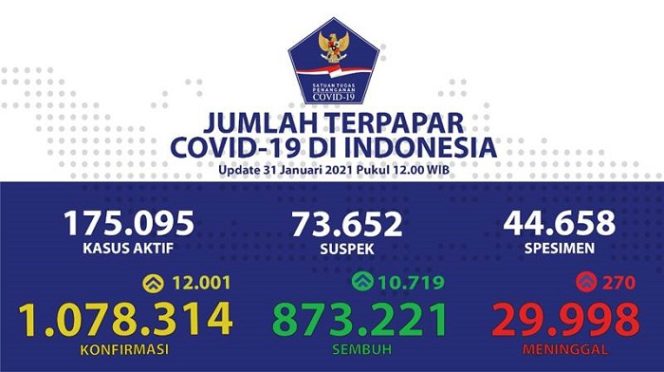					Update Covid-19 Hari Ini: Positif Bertambah 12.001, Sembuh 10.719, Meninggal 270