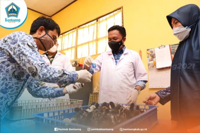 					Serahkan Bantuan Bibit Ternak Ayam Kampung Unggul, Bupati Ajak Masyarakat Terus Produktif