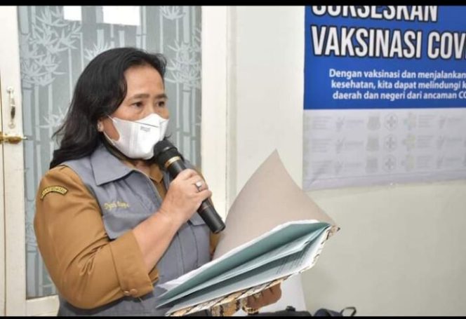 					Kepala Dinas Kesehatan Kabupaten Pinrang drg Dhya Puspita Dewi. (Istimewa). 