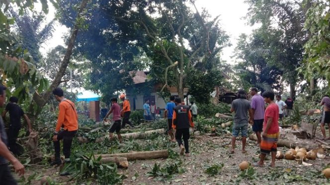 					Data Rumah Rusak, Dinas Perkim Luwu Langsung ke Lokasi