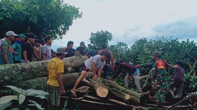 					Puluhan Rumah Rusak Akibat Angin Kencang di Luwu, Ada yang Rata Tanah, 1 Orang Meninggal