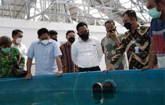 					Pemkab Bantaeng Jajaki Kerja Sama BPBL Ambon untuk Tingkatkan Pendapatan Nelayan