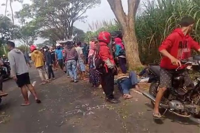 					Lokasi kecelakaan pikap tabrak pohon (Foto: Dok Polres Malang)