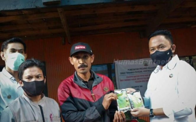 					Pemkab Bantaeng Dorong Pertanian Alami dengan Pupuk Organik