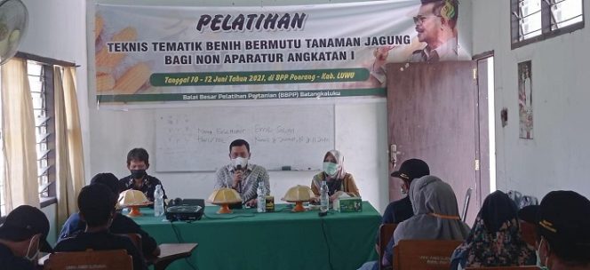 					Dinas Pertanian Luwu Bekali Petani Jagung dengan Pelatihan Teknis Tematik