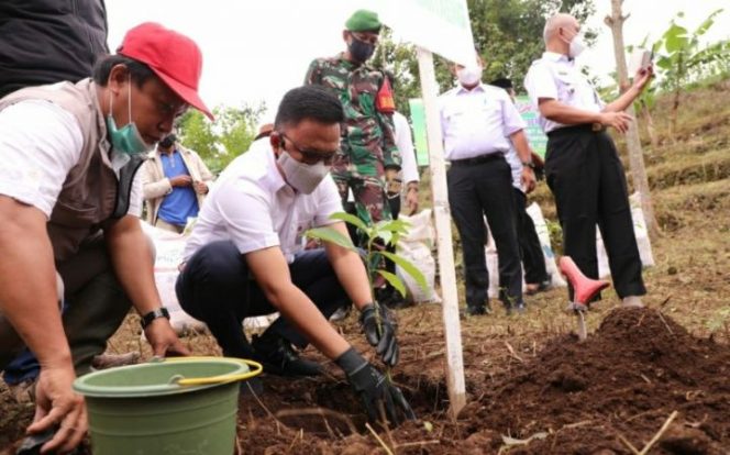 					Tingkatkan Kesejahteraan Petani, Ilham Azikin Canangkan Kampung Buah Bantaeng