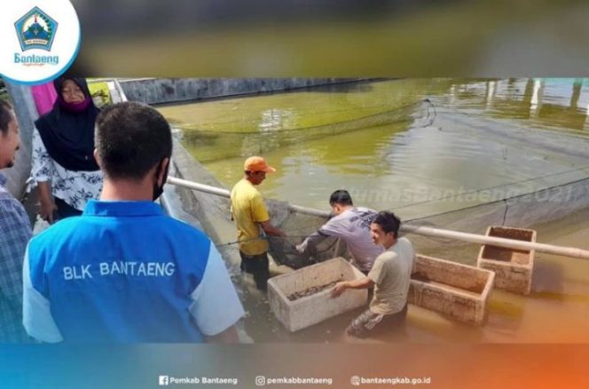 					Latih Pemuda Bissappu dan Sinoa, Petambak: Terimakasih Bupati Bantaeng