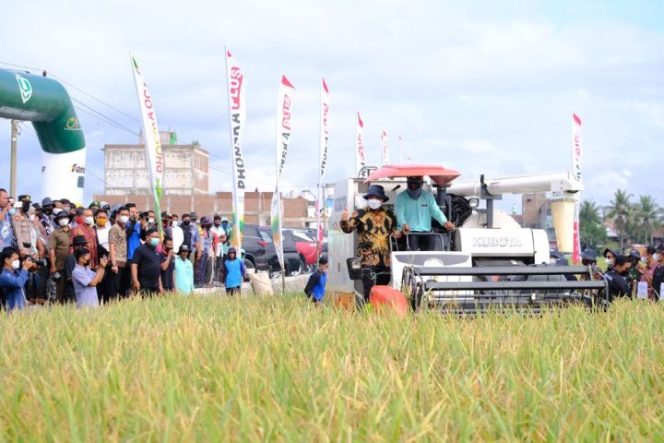 					Panen Raya di Sidrap, Andi Sudirman: Cadangan Beras Sulsel Melimpah