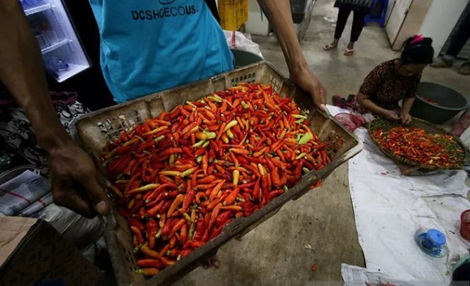 					Pedagang merapikan cabai rawit merah di Pasar Rumput, Jakarta, Senin (10/10/2018). Hujan deras di wilayah DKI Jakarta dan menurunnya pasokan cabai ke pasar tersebut memicu melonjaknya harga cabai dari Rp20 ribu per kilogram menjadi Rp40 ribu per kilogramnya. ANTARA FOTO/Rivan Awal Lingga/pras.