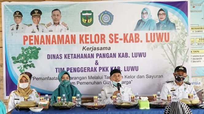 					Dinas Ketahanan Pangan dan TP PKK Luwu Ajak Warga Tanam Kelor