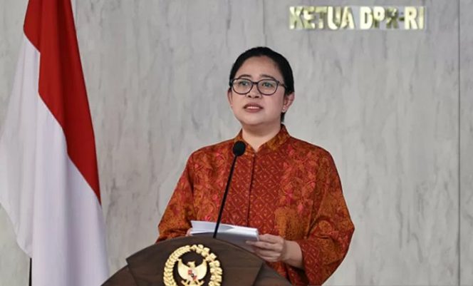 					Ketua DPR RI Puan Maharani. ANTARA/HO-dpr.go.id/pri.