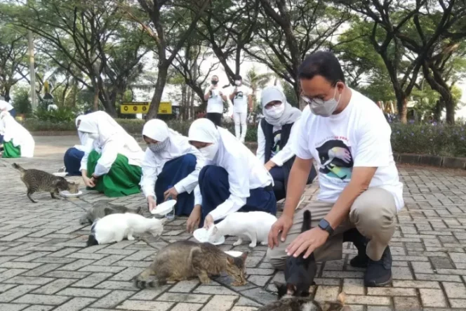 					Gubernur DKI Jakarta Anies Baswedan saat memberi makan kepada kucing liar pada puncak Hari Rabies Sedunia yang diperingati setiap 28 September di kawasan Ancol, Jakarta, Selasa (28/9/2021). ANTARA/Dewa Ketut Sudiarta Wiguna