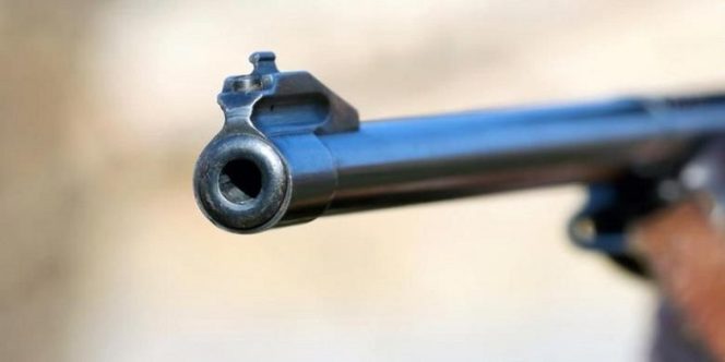 					Ilustrasi: Senjata api (int)